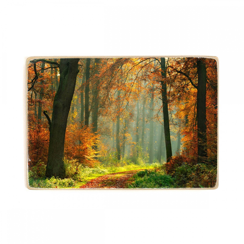 

Деревянный постер Природа Autumn Foggy Forest А1