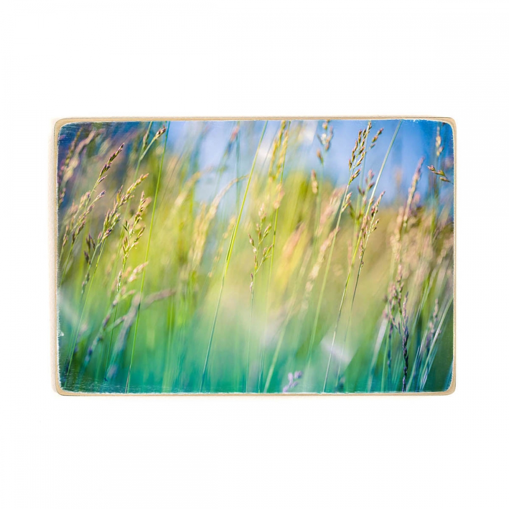 

Деревянный постер Природа Meadow Flowers А1