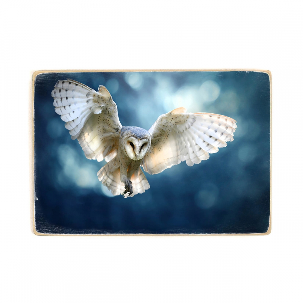 

Деревянный постер Животные Сова в полете, Сцена дикой природы А2