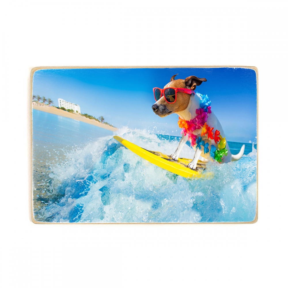 

Деревянный постер Природа A Dog On A Surf On A Wave А2