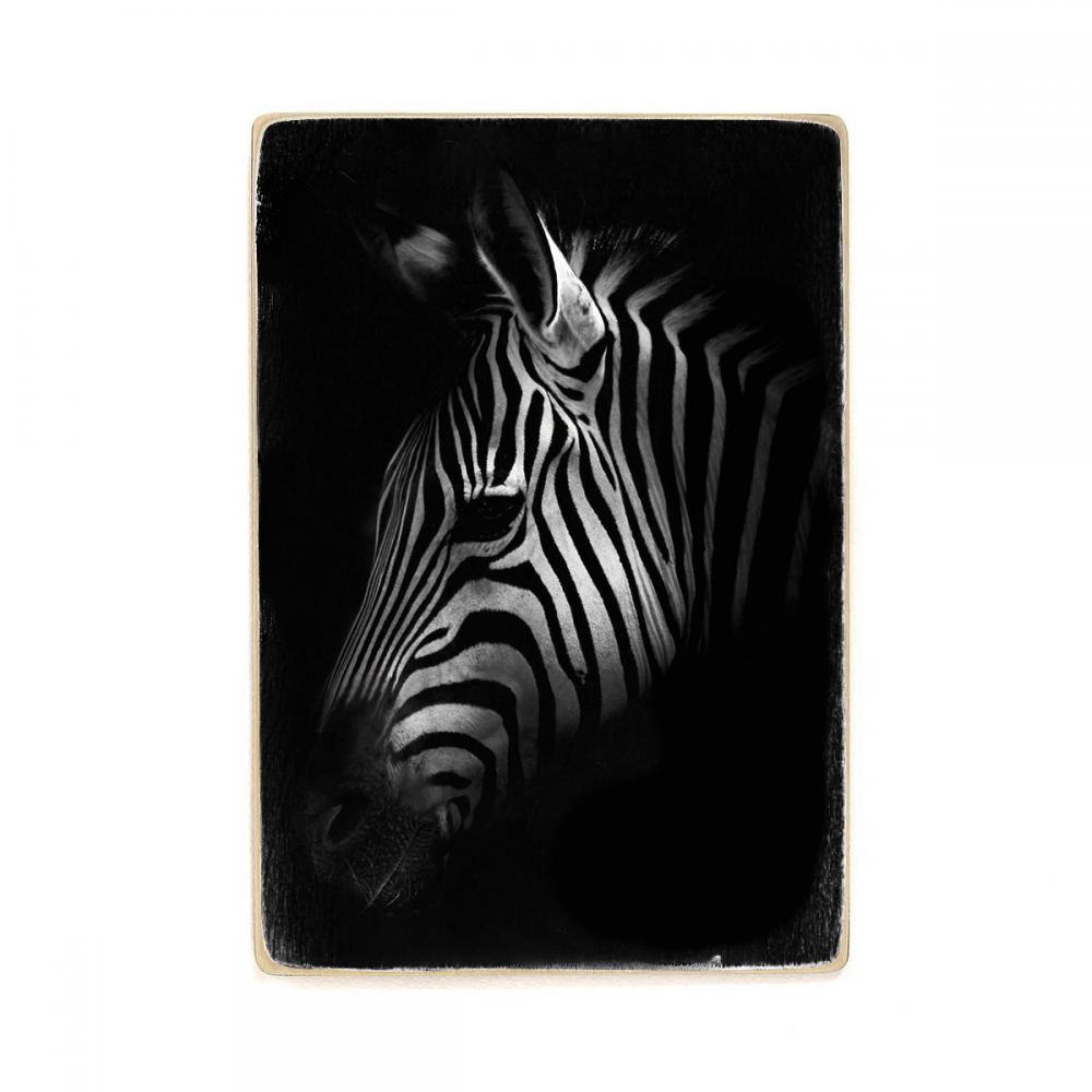 

Деревянный постер Животные Black Zebra А2
