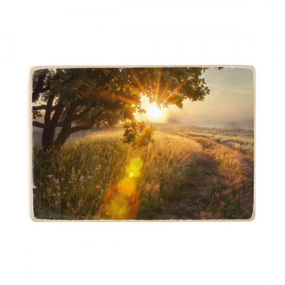 

Деревянный постер Природа Morning Sunrise Landscape А2