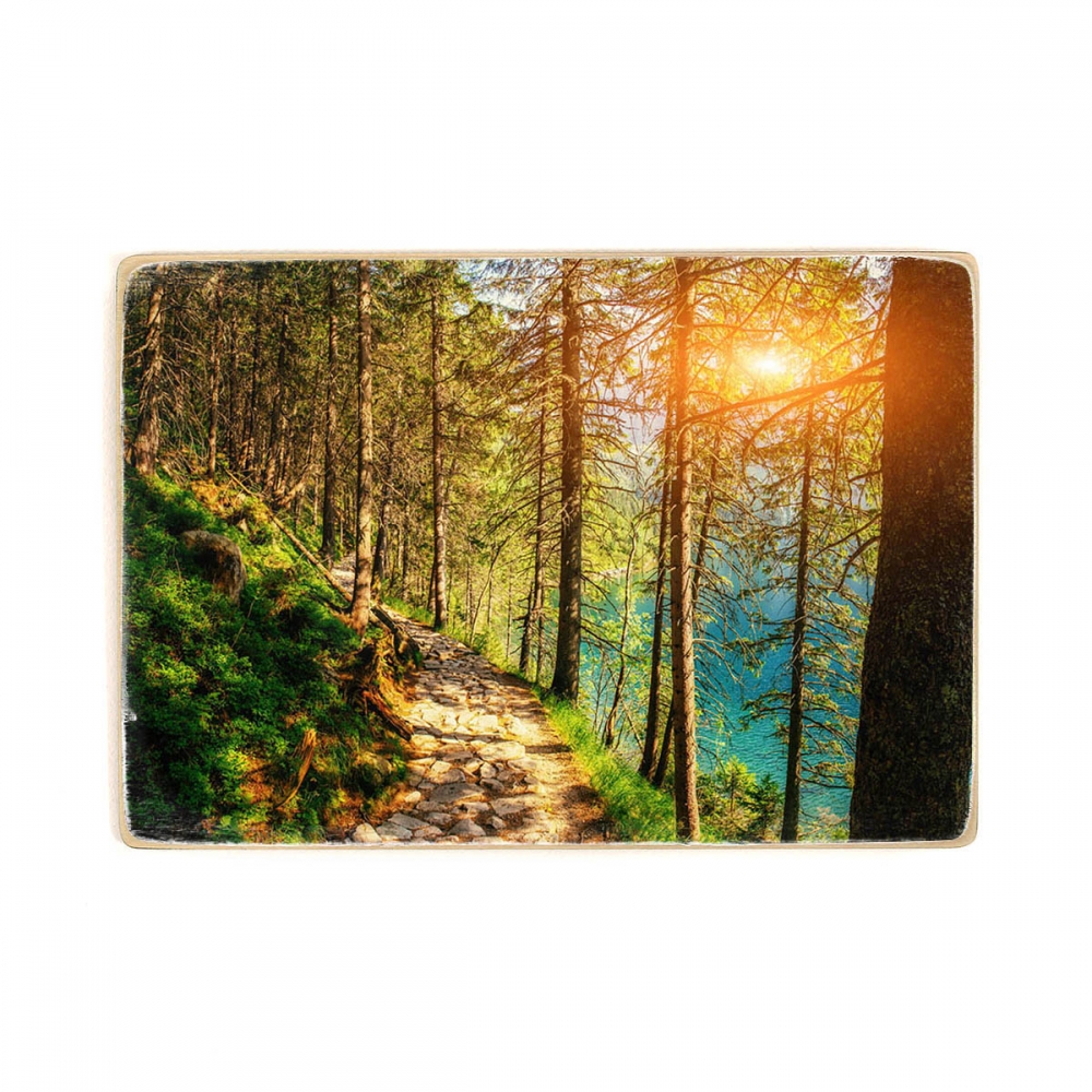 

Деревянный постер Природа Sunset Breaks Between The Trees А1
