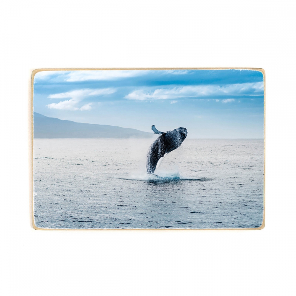 

Деревянный постер Животные Whale Jump А1