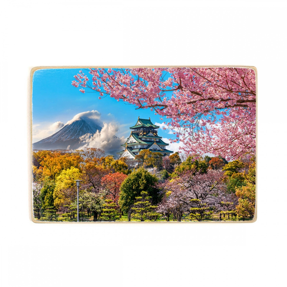 

Деревянный постер Архитектура Osaka Castle А2