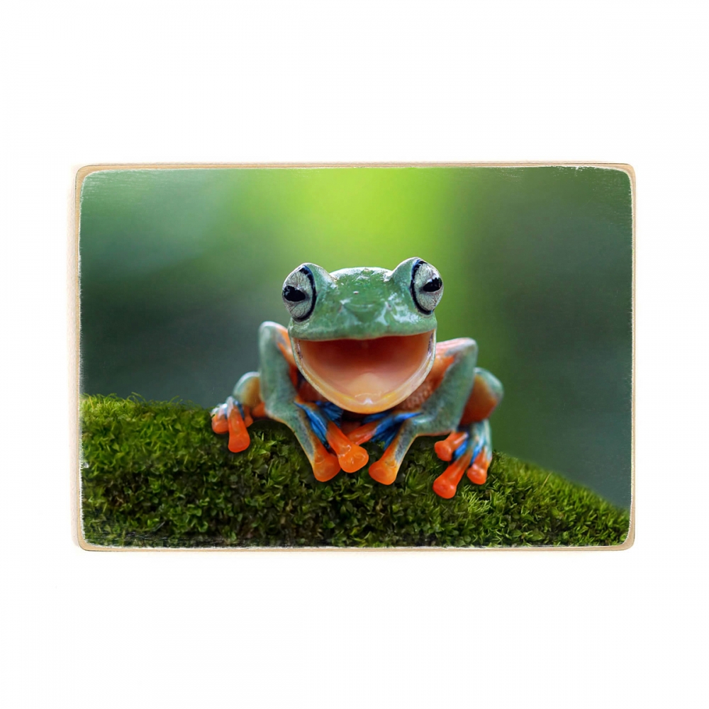 

Деревянный постер Животные Flying Frog А1