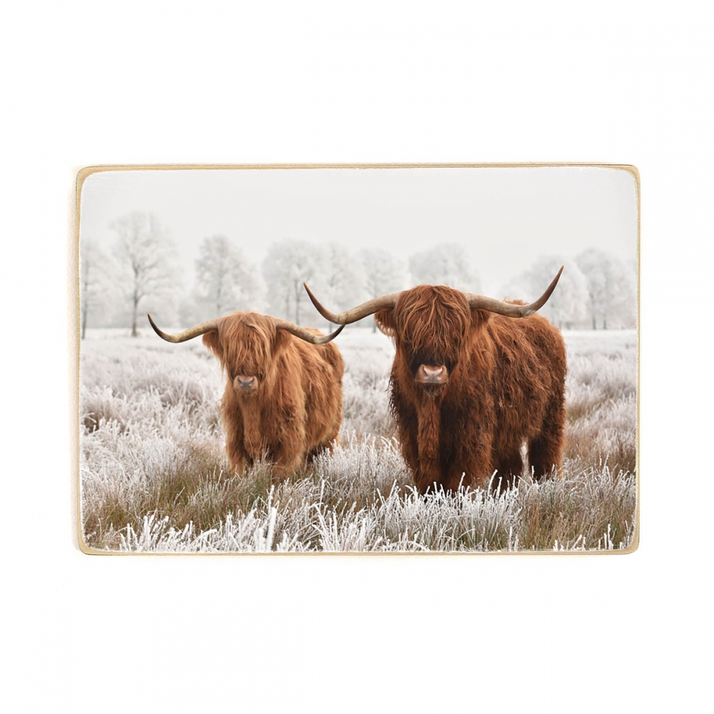 

Деревянный постер Животные Hairy Scottish Highlanders А1
