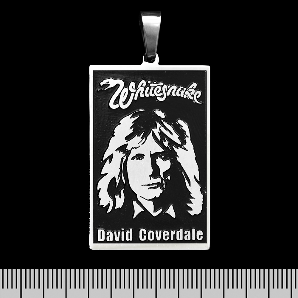 

Кулон Rockway Whitesnake (David Coverdale) (ptsb-134) прямоугольный