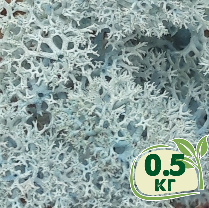 

Стабилизированный мох ягель Nordic moss Ледяной голубой 0,5 кг
