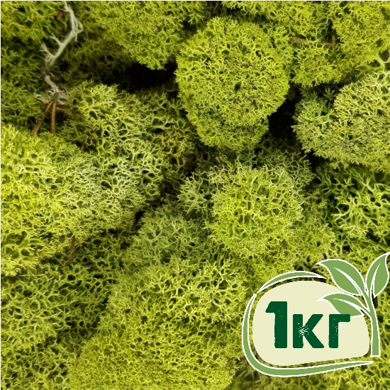 

Стабилизированный мох ягель Nordic moss Зеленый светлый 1 кг