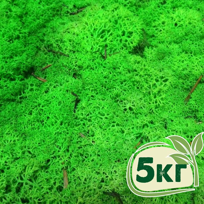 

Стабилизированный мох ягель Nordic moss Зеленый травяной светлый 5 кг