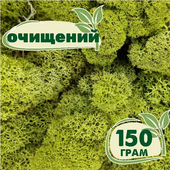 

Очищенный стабилизированный мох ягель Nordic moss Зеленый светлый 150 грамм