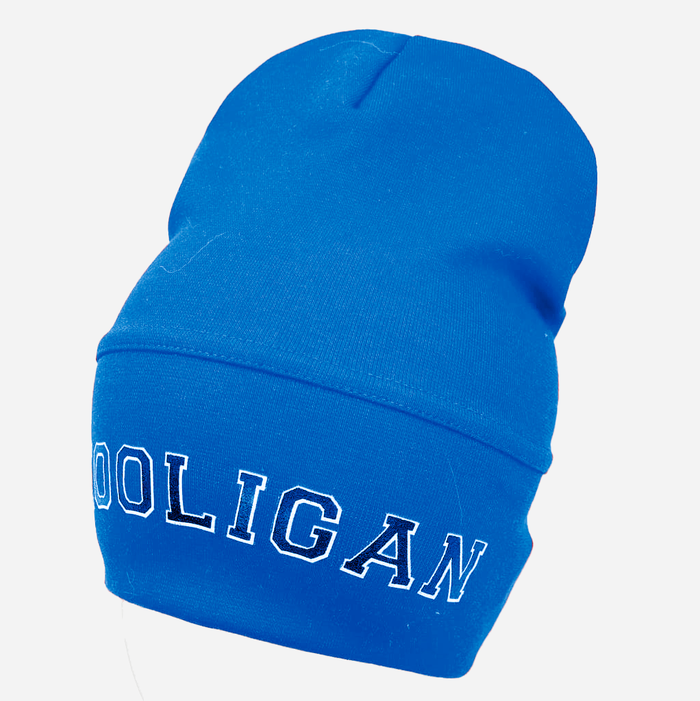 

Демисезонная шапка Sample Hooligan 52-56 Синяя