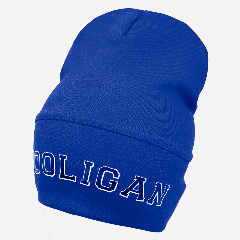 

Демисезонная шапка Sample Hooligan 52-56 Темно-синяя
