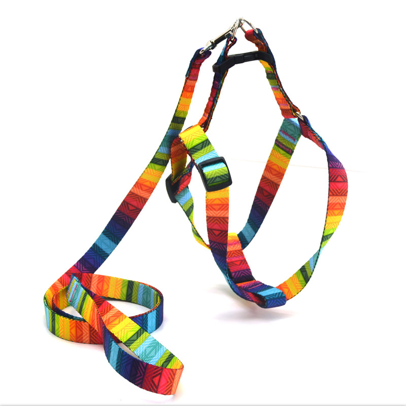 

Комплект поводок и шлея для собак Zoo-hunt капроновый 2,0 см Радуга 101353