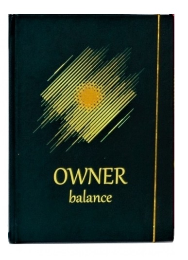 

Терапевтический и коучинговый ежедневник OWNER BALANCE IGROK