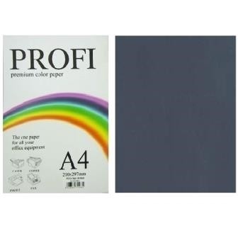 

PROFI Бумага офисная цветная A4 80г / м 500л интенсив серый Deep Platinum 36416