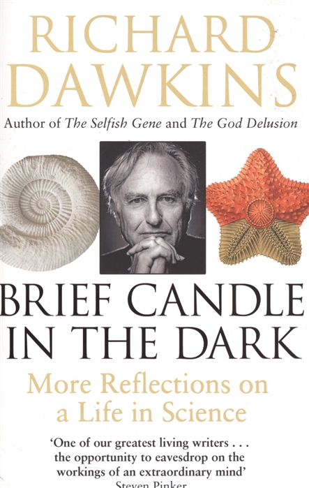 

Brief Candle in the Dark