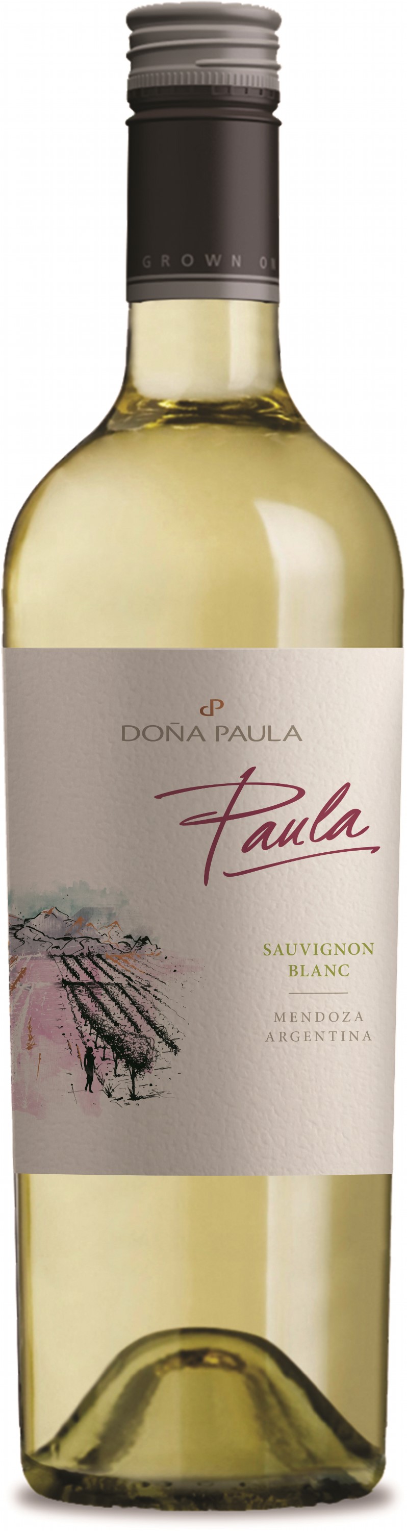 Вино Paula Sauvignon Blanc біле сухе 0.75 л 11-14.5% (7798090160508)