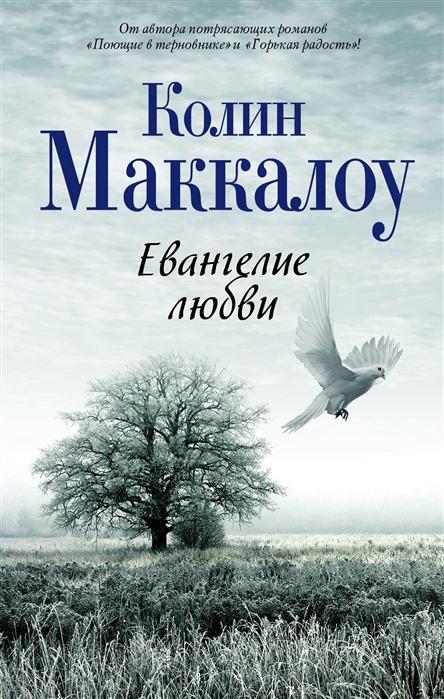 

Евангелие любви (1001031)