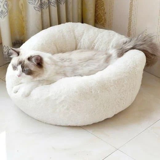 

Лежак для кошек и собак, лежанка-подушка, кровать цвет молочный XL 60 см до 12 кг