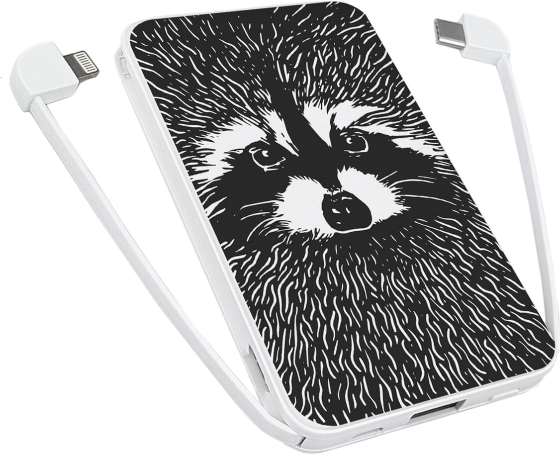

УМБ ZIZ Енот 5000 mAh