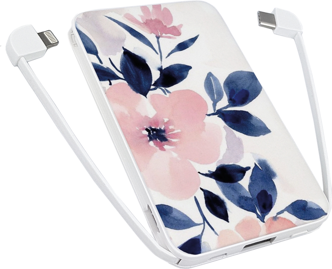 

УМБ ZIZ Акварель 5000 mAh