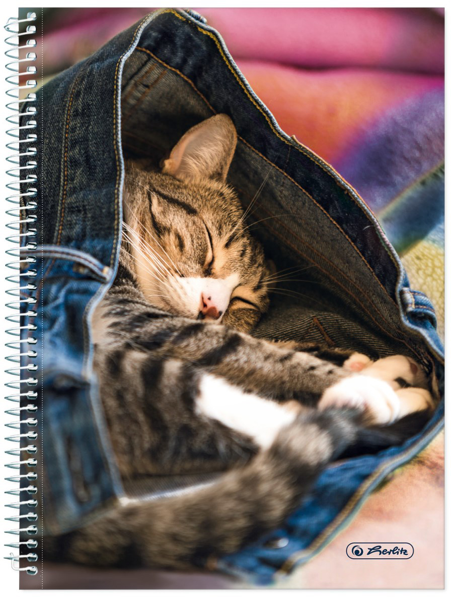 

Блокнот Herlitz А5 120 листов в точку Jeans Cat Котик (50030996C)