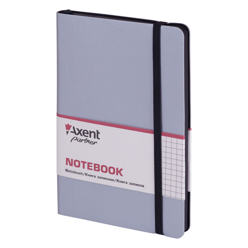 

Книга записная Axent Partner Soft 125х195 мм, клетка серебрянный