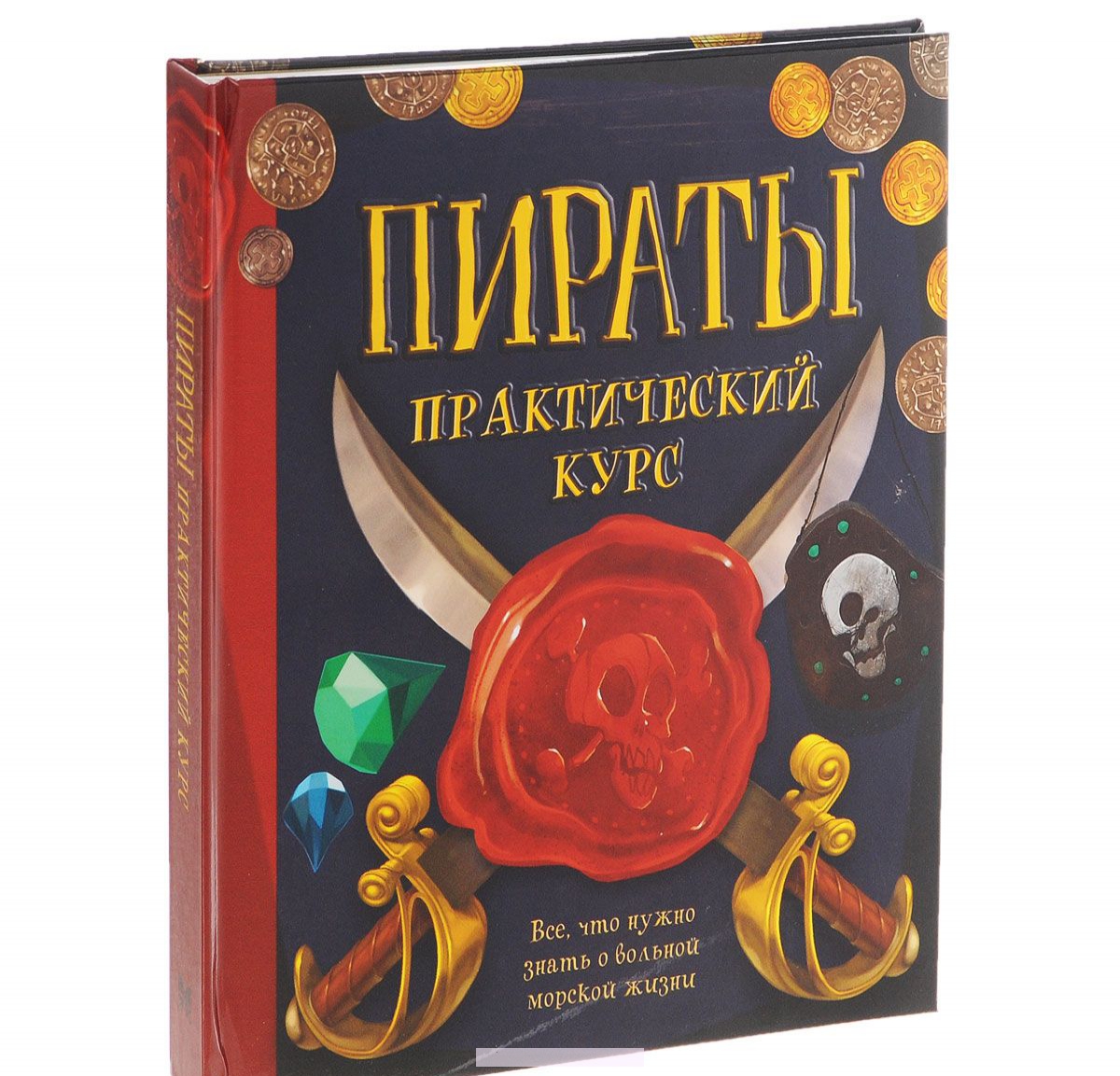 

Пираты. Практический курс