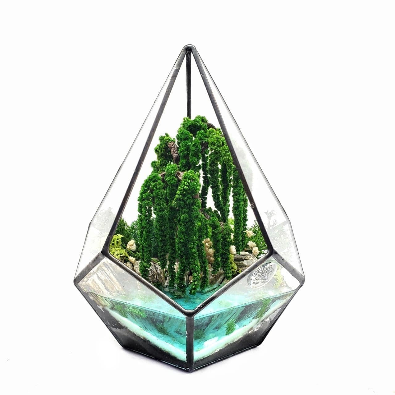 

Флорариум - моссариум со стабилизированными растениями в капле Magic Gardens 21*15см