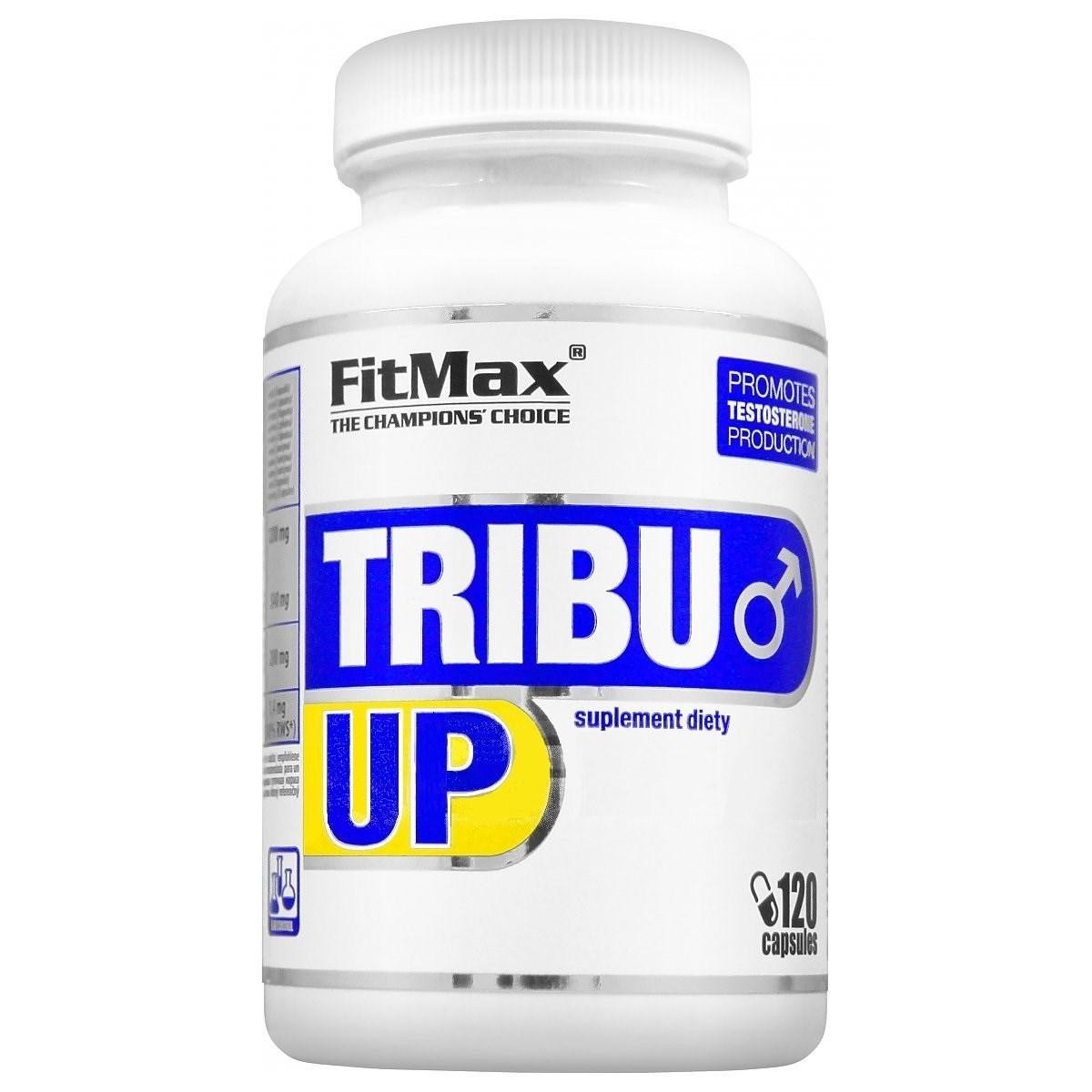 

Потенцер FitMax Tribu Up 120 капс Без вкуса (65051)