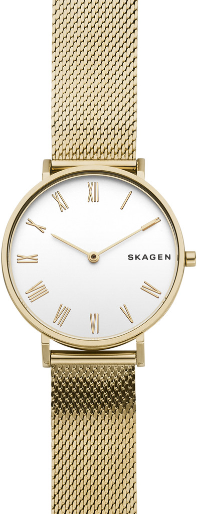 

Часы SKAGEN SKW2713