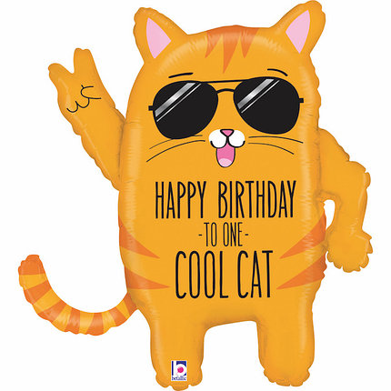 

Фигура GRABO-ГР Супер-кот Happy Birthday (УП)