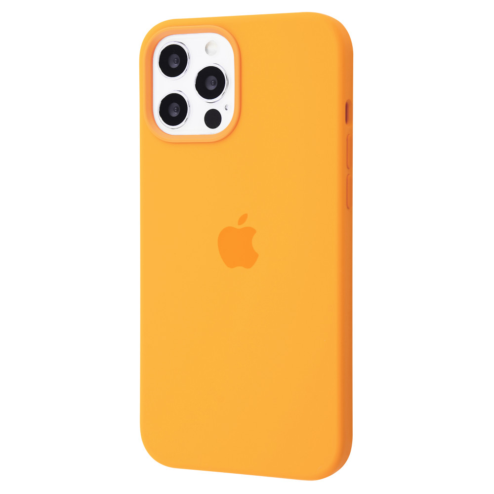 

Чехол Silicone Case with MagSafe and Splash Screen для iPhone 12 Pro Max sunflower