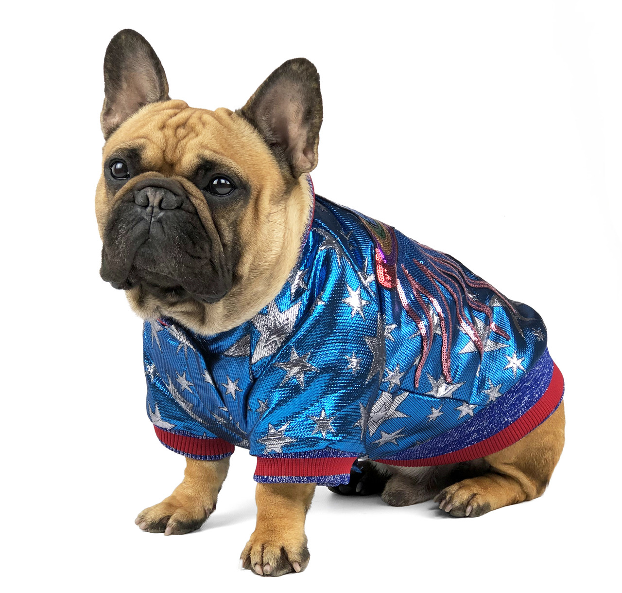 

Куртка для собак средних пород Ideapet Space Blue XL