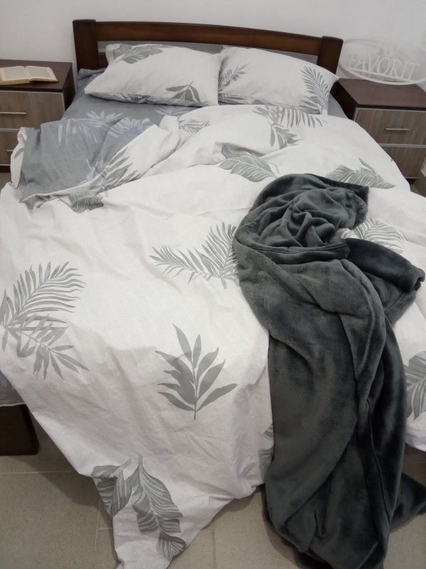 

Комплект постельного белья AV-favorit Бязь Люкс 150*220 Папороть (b-01112R)