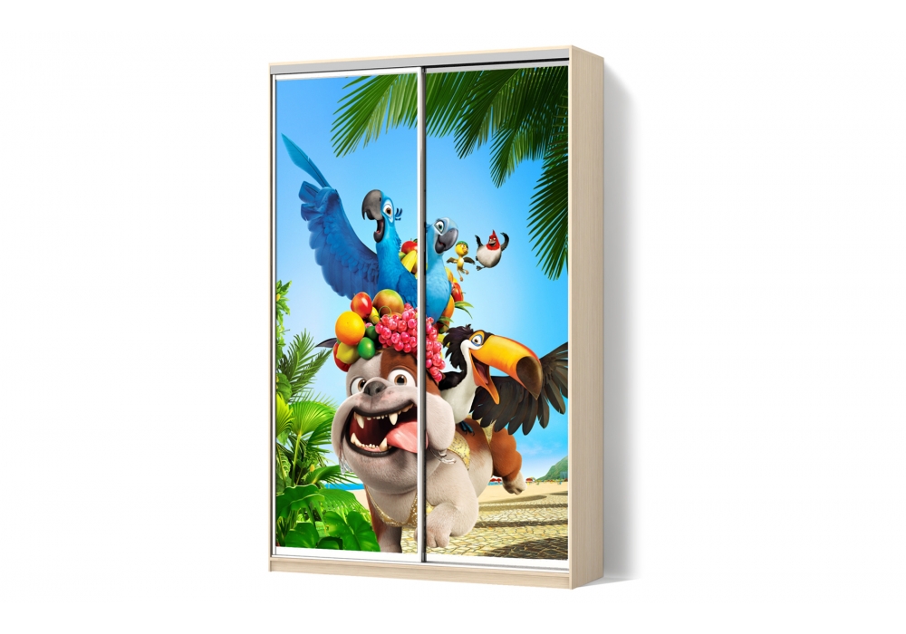 

Шкаф-купе Luxe 2 двери ФМП/ФМП рисунок De091 CLS - II 120 x 230 x 60 см