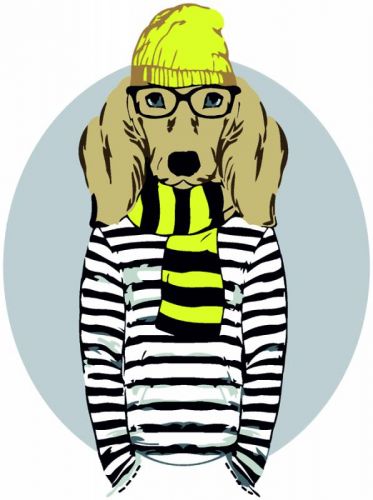 

Картина по номерам "Stylish Dog" JIADIHONG. 35074