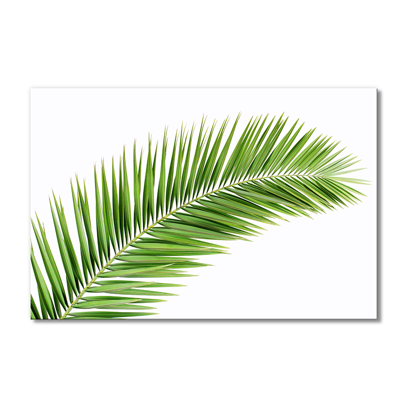 

Модульная картина Artel «Ветка пальмы» 1 модуль 80x120 см