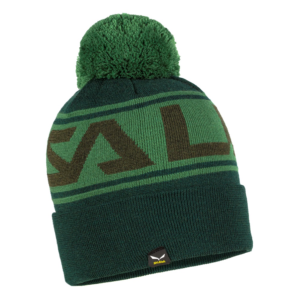 

Шапка Salewa Antelao Pom Beanie Зелений (013.002.8831)
