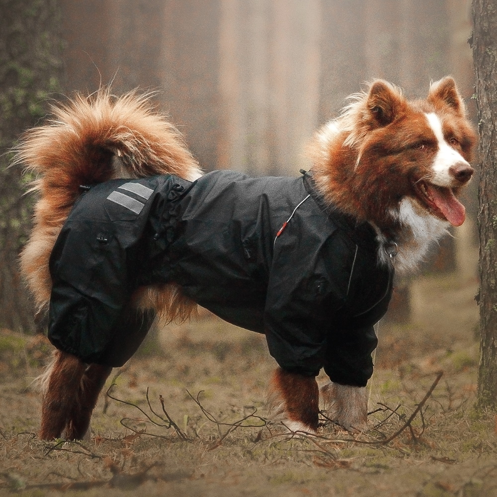 

Водостойкая одежда без подкладки для собак крупных и средних пород. Hunter- D black. Your Stylish Hunter. (HUNT-01) MS