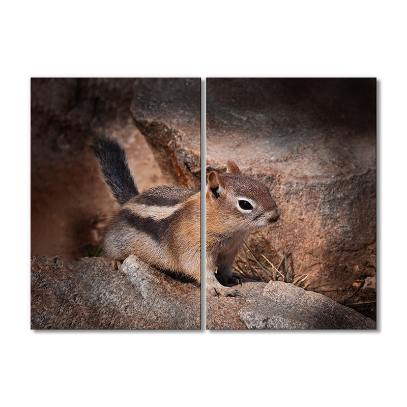 

Модульная картина Artel «Бурундучек» 2 модуля 60x90 см