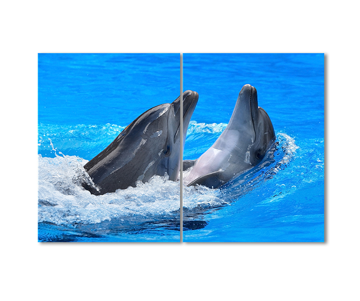 

Модульная картина Artel «Влюбленная парочка дельфинов» 2 модуля 70x105 см