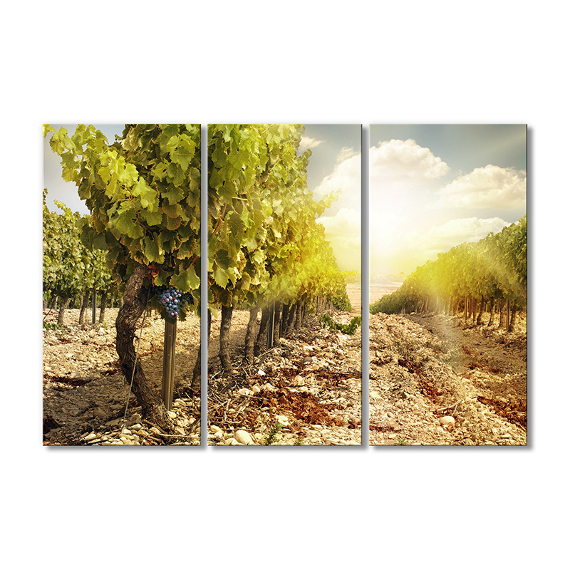

Модульная картина Artel «Виноградная лоза солнце» 3 модуля 80x120 см
