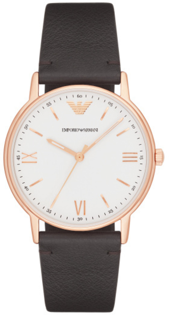 

Часы Emporio Armani AR11011