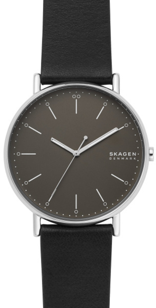 

Часы SKAGEN SKW6528