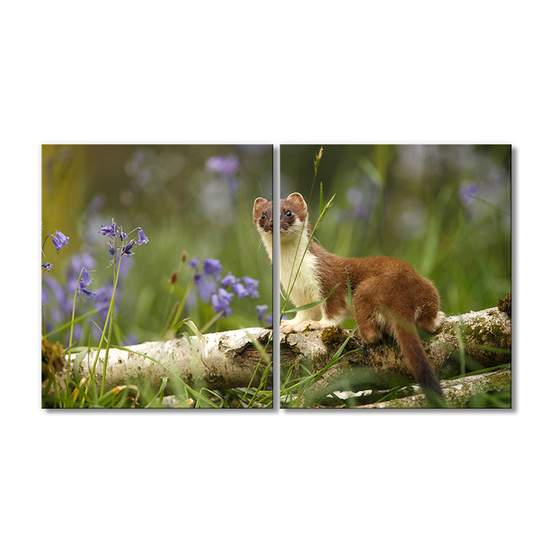 

Модульная картина Artel «Горностай» 2 модуля 90x135 см