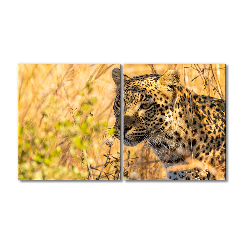 

Модульная картина Artel «Гепард в засаде» 2 модуля 50x75 см