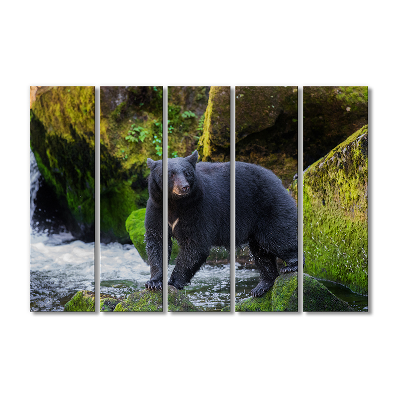 

Модульная картина Artel «Гризли ловит рыбу» 5 модулей 120x180 см